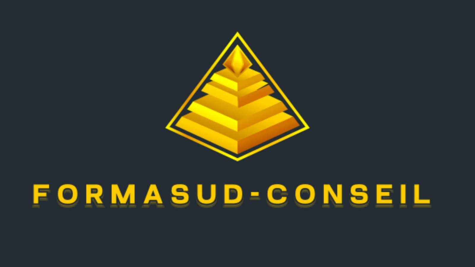 formasud-conseil.fr